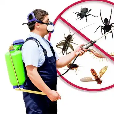 pest control Davison